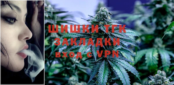 эйфоретик Арсеньев