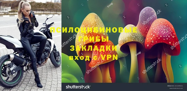 эйфоретик Арсеньев
