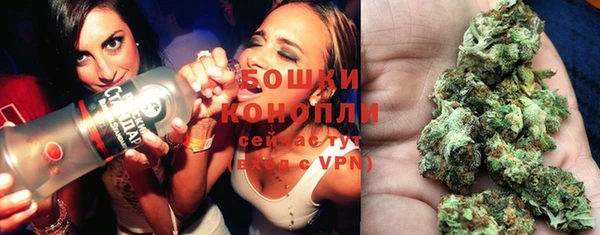 эйфоретик Арсеньев