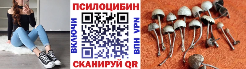хочу наркоту  Спасск-Рязанский  Галлюциногенные грибы мухоморы 